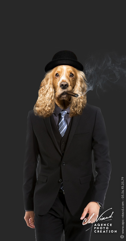 Portrait de chien avec un cigare façon gangster